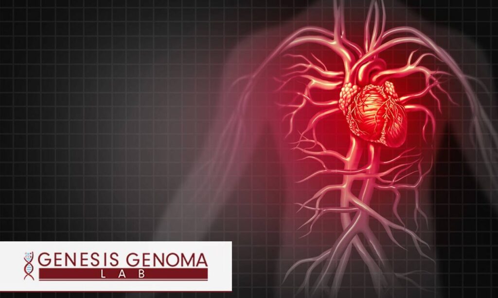 Παγκόσμια Ημέρα Καρδιάς: Πώς η επιστήμη της γενετικής συμβάλλει στην πρόληψη κληρονομικών παθήσεων